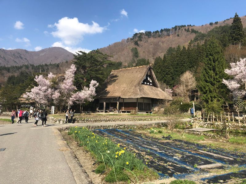 Kanazawa Private Tour - Spring visit