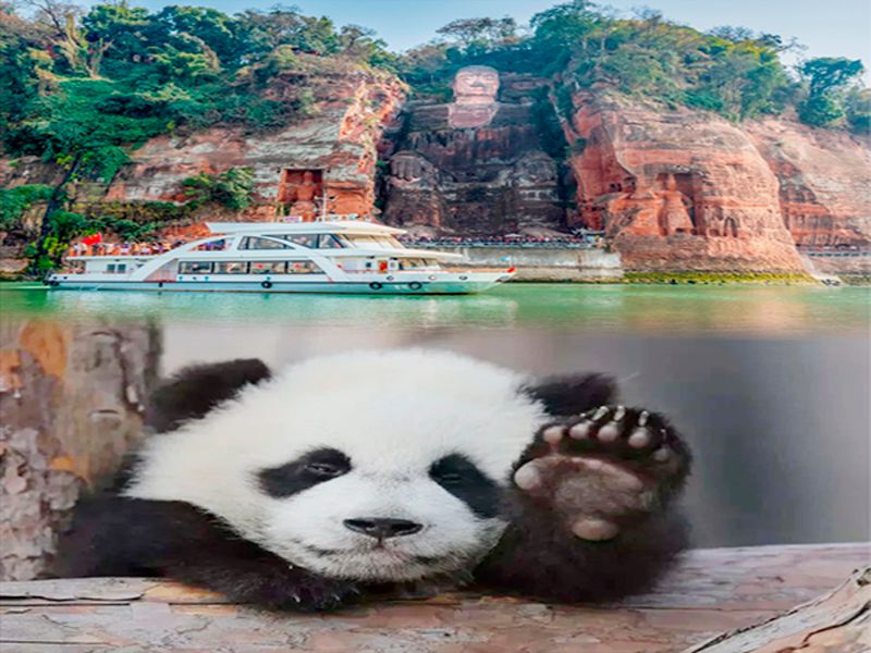 Chengdu Private Tour - null