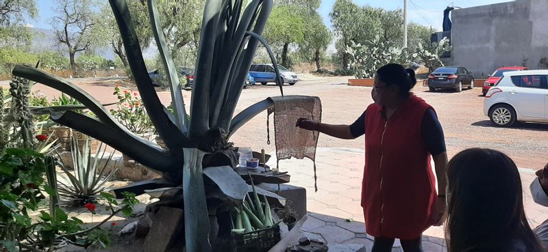 Mexico City Private Tour - Local people explaining the uses of Agave