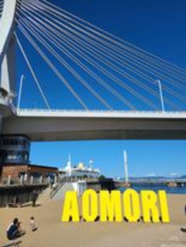 Aomori Private Tour - Welcome to Aomori City - a view of the coast and marine area 