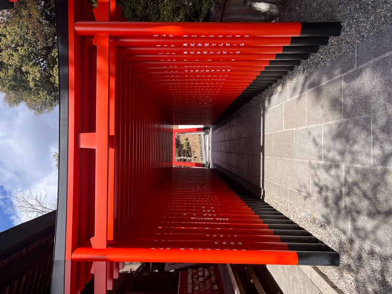 Nagoya Private Tour - Shrine Trii gate in Inuyama