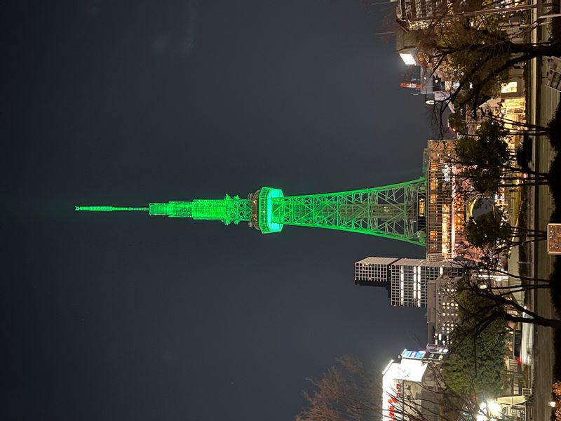 Nagoya Private Tour - Nagoya TV tower