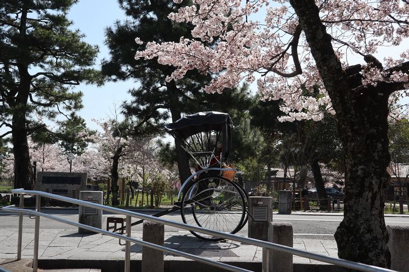 Kyoto Private Tour - Near the Togetsu Bridge