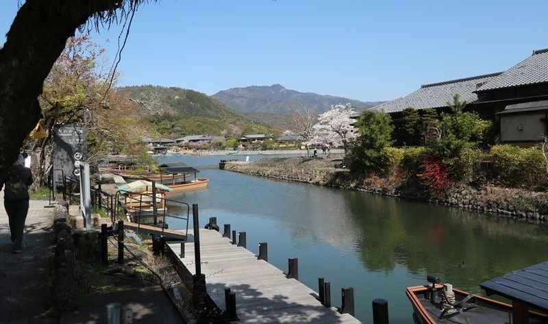 Kyoto Private Tour - A view of an Arashiyama area during the cherry blossom season