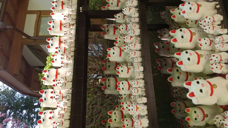 Tokyo Private Tour - Gotokuji Temple is famous for Beckoning Cat