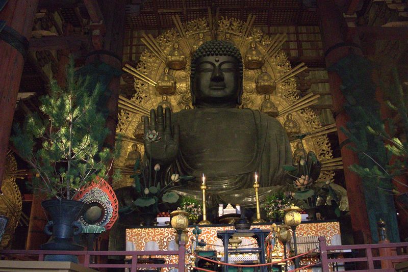 Osaka Private Tour - The Great Buddha Statue