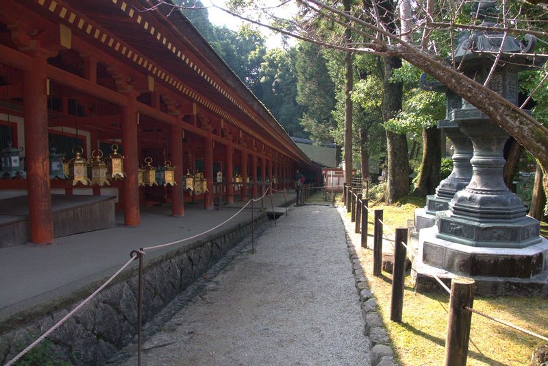 Osaka Private Tour - Kasugataisha Shrine