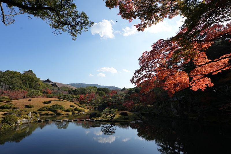 Osaka Private Tour - Isuien Garden