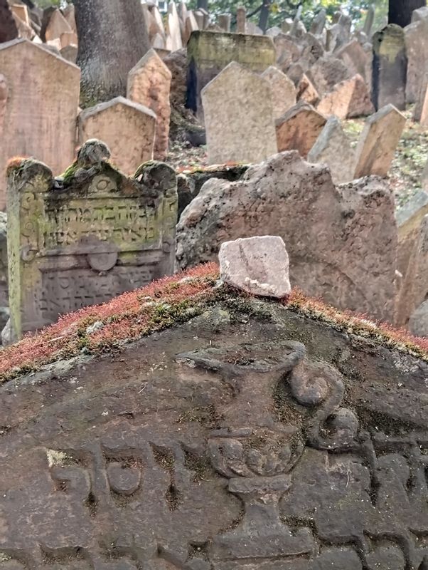 Prague Private Tour - Old Jewish Cemetery