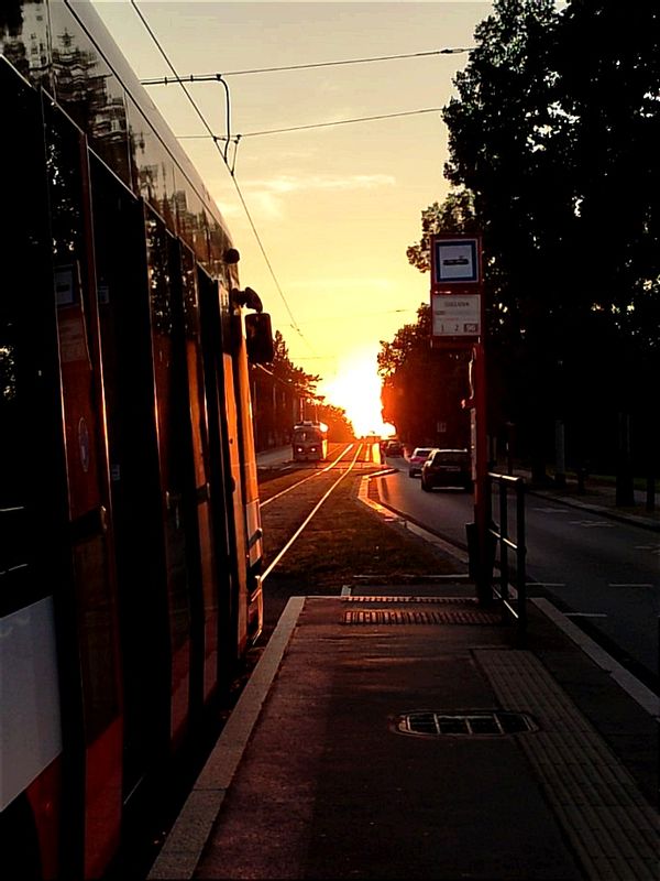 Prague Private Tour - Public transport in Prague