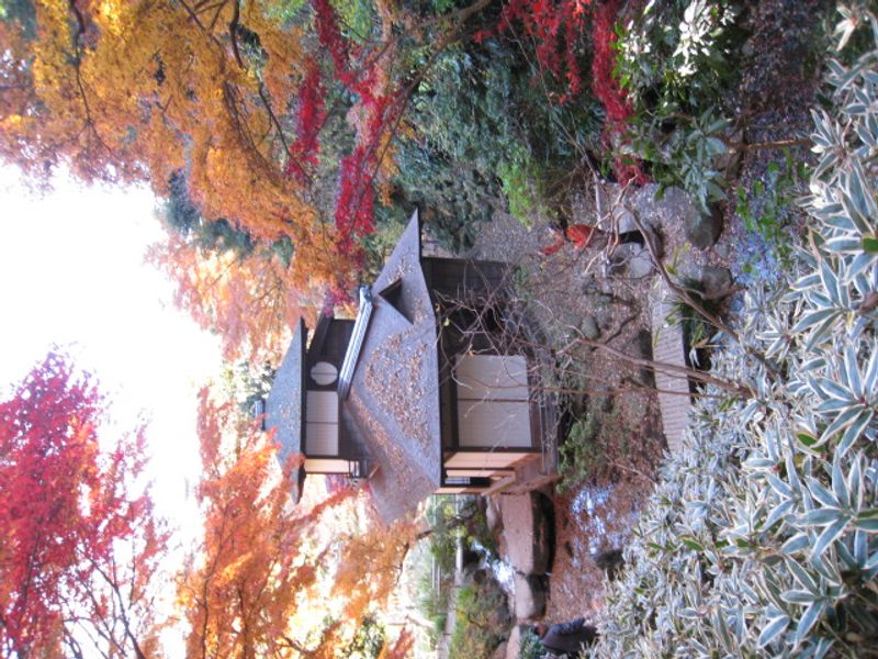 Yokohama Private Tour - Sankeien Garden