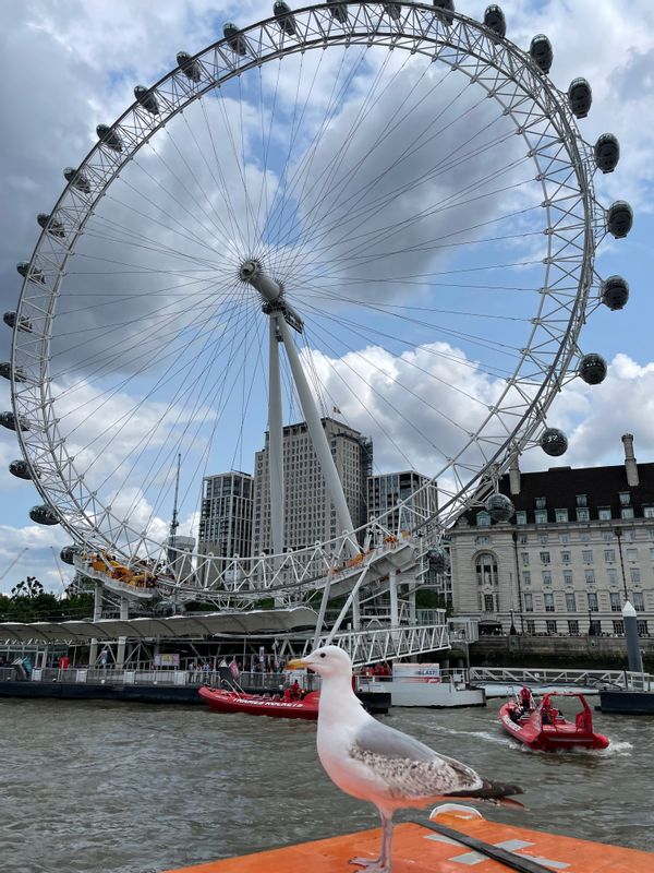 London Private Tour - See the Famous London Eye. 