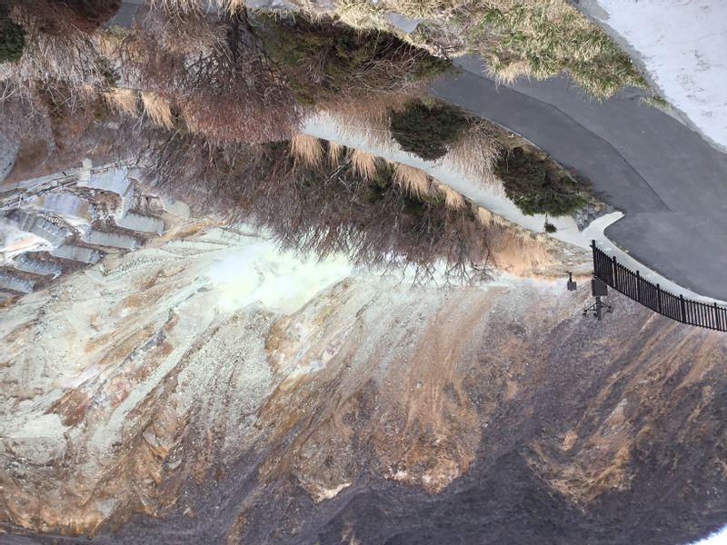 Hakone Private Tour - Volcanic activities in Owakudani