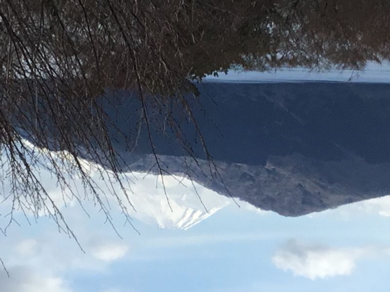 Hakone Private Tour - Hakone Onshi Park with Mt.Fuji Background