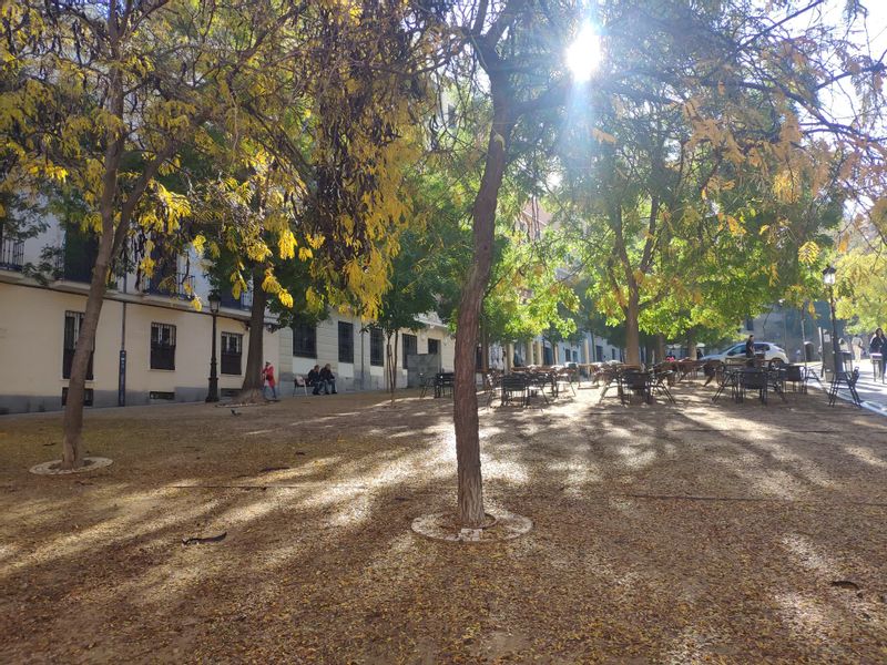 Madrid Private Tour - You will see Plaza de la Paja ( The Straw Square), why? Come with me and I will tell you