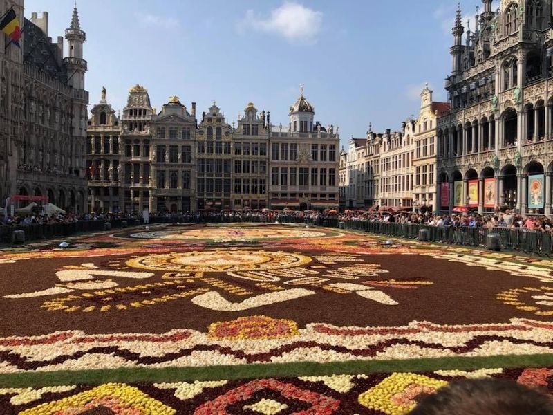 Brussels Private Tour - Brussels Flower Carpet 