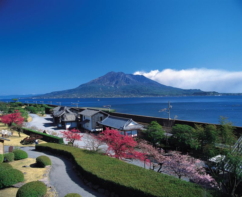 Kagoshima Private Tour - Senganen in Spring