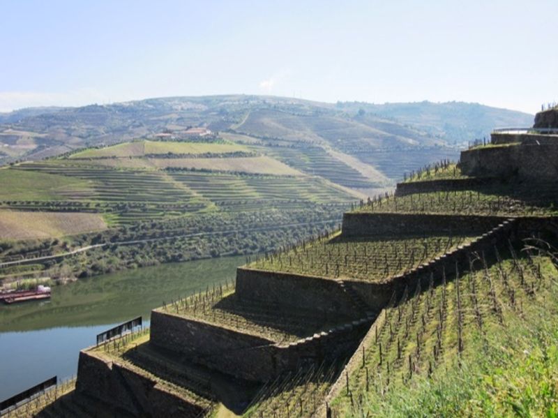 Porto Private Tour - De LA Rosa Estate