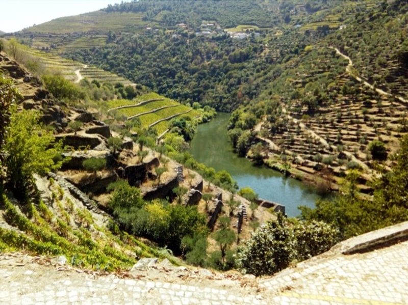 Porto Private Tour - Tavora Valley - Douro Valley Wine Region