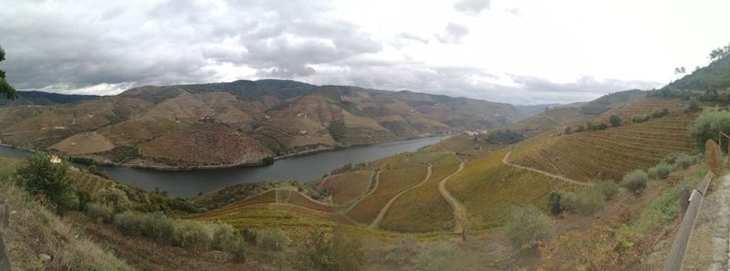 Porto Private Tour - Upper Corgo - Douro Valley Wine Region