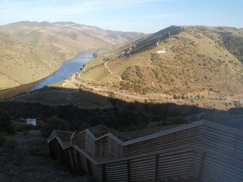 Porto Private Tour - Viewpoint over the Valley