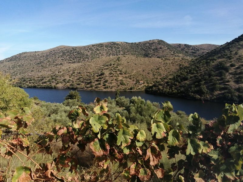 Porto Private Tour - The Valley