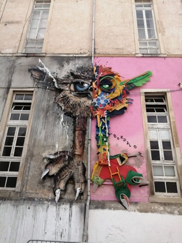 Porto Private Tour - Angry Bird, by Bordallo II, in Coimbra City