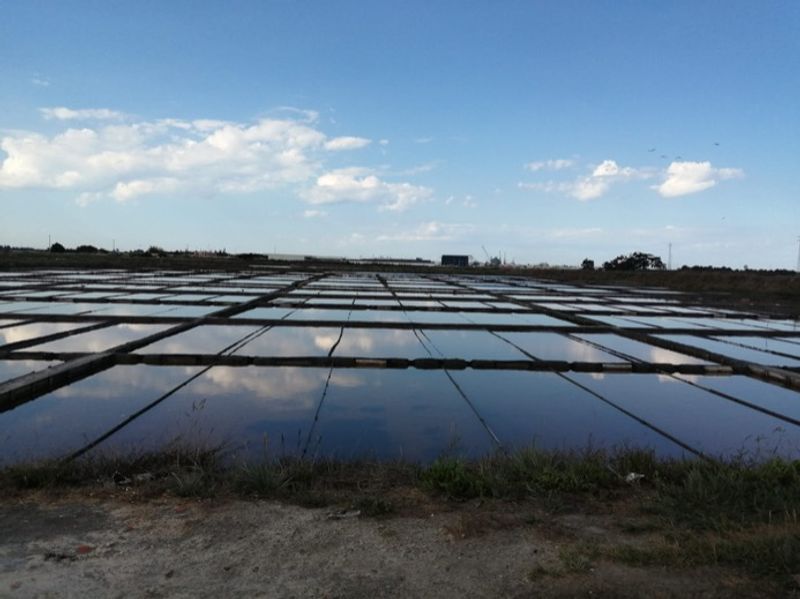 Porto Private Tour - Salines in Aveiro