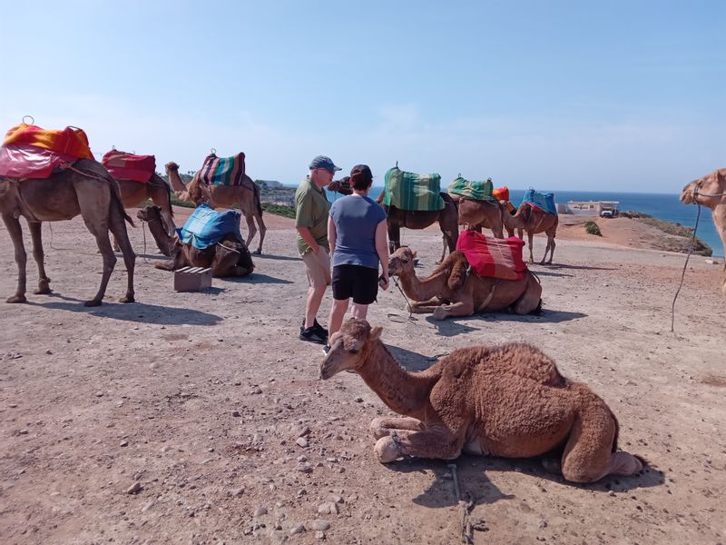 Tangier Private Tour - Baby Camel