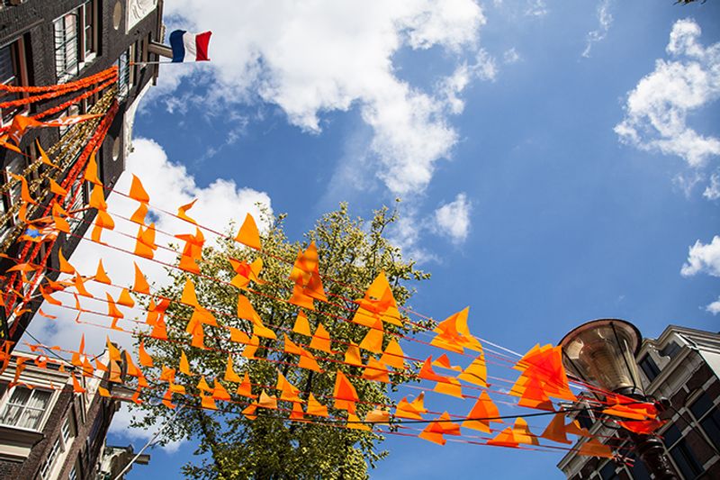 Amsterdam Private Tour - Découvrez l'histoire captivante d'Amsterdam, de ses modestes débuts en tant que village de pêche du XIIe siècle à l'effervescent centre culturel qu'elle est aujourd'hui.