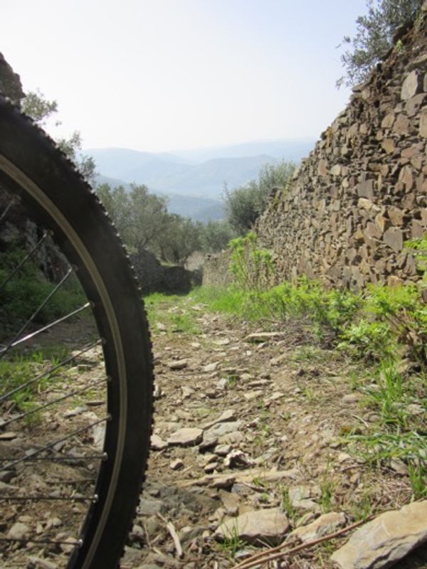 Douro Valley Private Tour - e-Bike in Douro Valley - Off beaten track