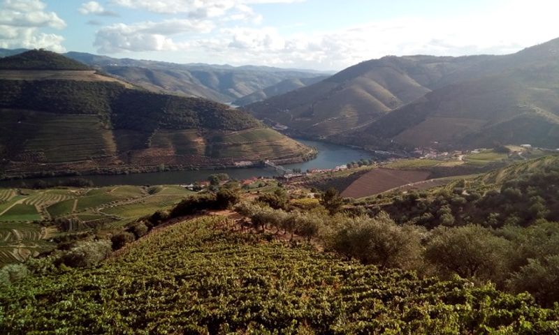 Douro Valley Private Tour - e-Bike in Douro Valley - Off beaten track