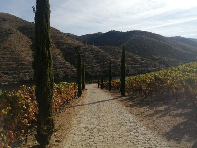 Douro Valley Private Tour - e-Bike in Douro Valley - Off beaten track