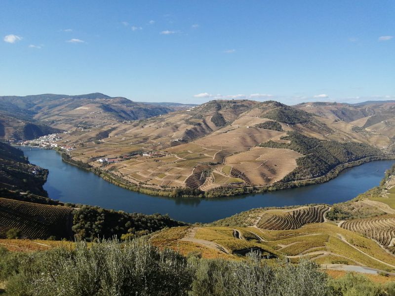 Douro Valley Private Tour - e-Bike in Douro Valley - Off beaten track