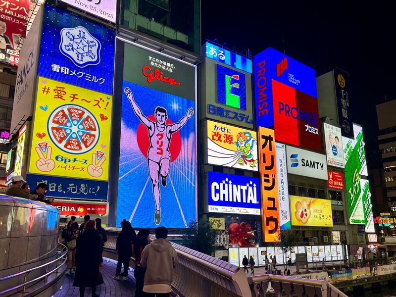 Osaka Private Tour - Dotonbori