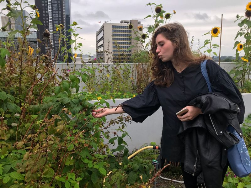 Rotterdam Private Tour - Rotterdam is one of the best places to learn about the cohabitation of humans and nature in the urban setting.