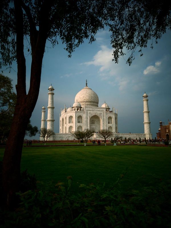 Delhi Private Tour - null