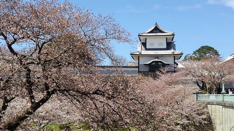 Kanazawa Private Tour - Burggarten