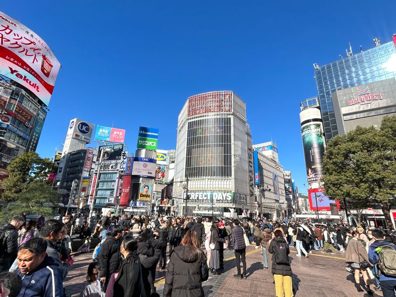 Tokyo Private Tour - Shibuya Cross