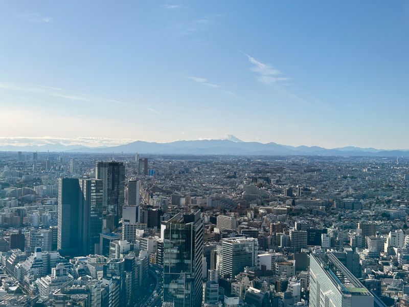 Tokyo Private Tour - Mt.Fuji from Shibuya Sky