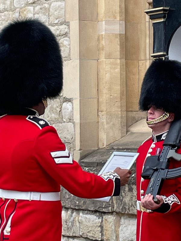 London Private Tour - We will never get closer to the King's guards 