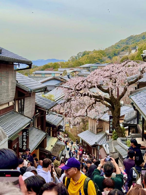 Kyoto Private Tour - Kiyomizudera Sannenzaka