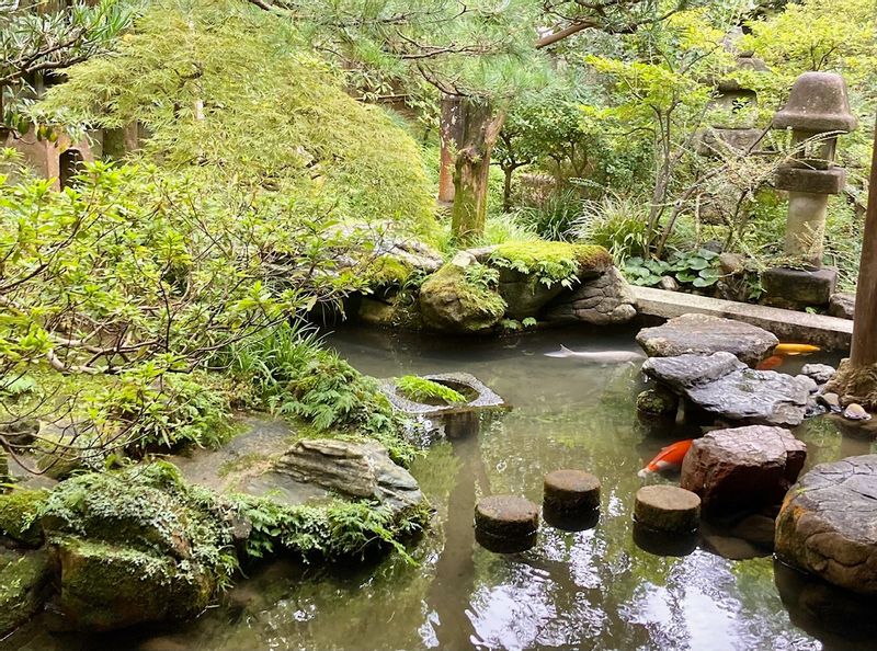 Kanazawa Private Tour - Nomura Haus Garten 