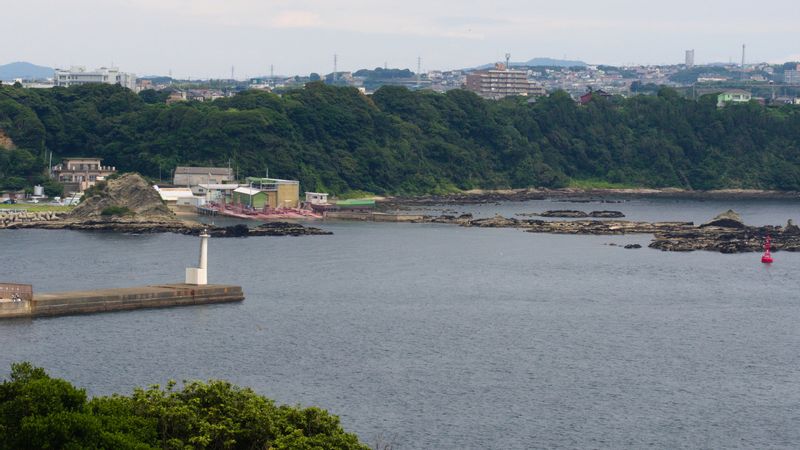 Kanagawa Private Tour - Misaki Sea view