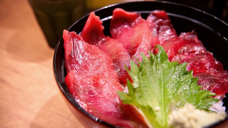 Kanagawa Private Tour - Tuna Don-Buri / Tekka Don