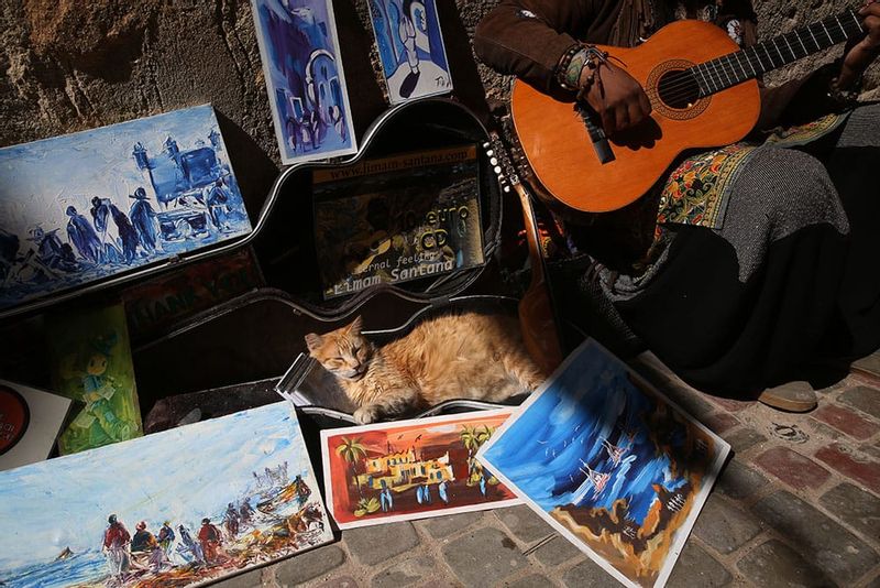 Casablanca Private Tour - The rhythm of life in the medina was driven for centuries by the muezzin's cry. Just as hundreds of years ago, people were engaged in crafts, trading, going to the mosque, and, upon coming out, engaging in superstitions. Donkeys carried goods through the narrow streets, and charlatan doctors lured the unsuspecting public. And to this day, it's still the same.