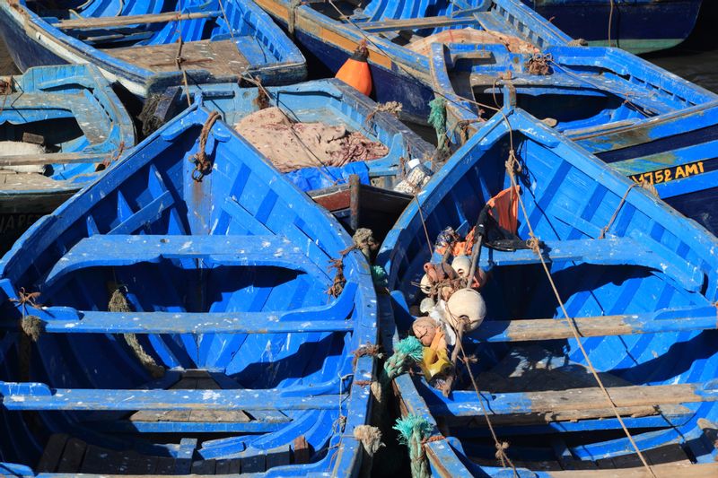 Essaouira Private Tour - Essaouira is a bustling fishing port with a market offering a fantastic array of ocean creatures, a bustling port that smells far from pleasant and is, therefore, lively and authentic. 