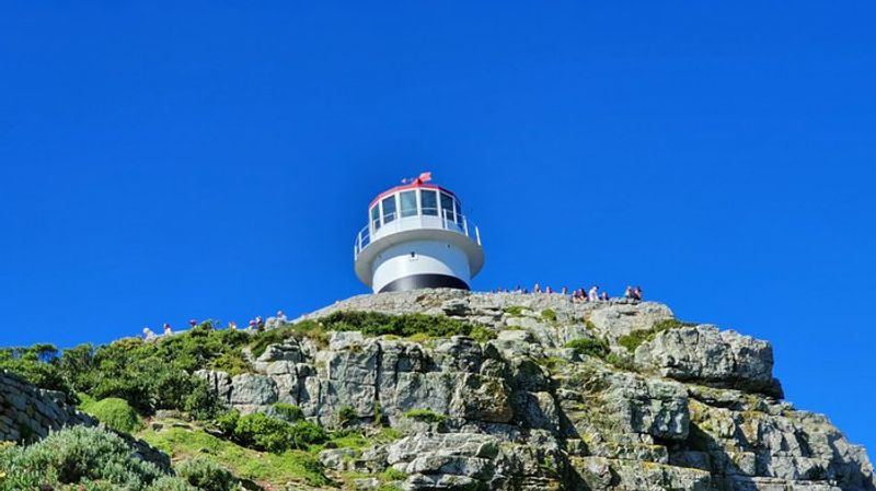 Cape Town Private Tour - null