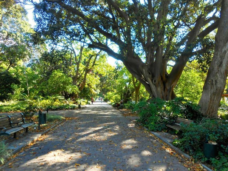 Cape Town Private Tour - The beautiful Company gardens