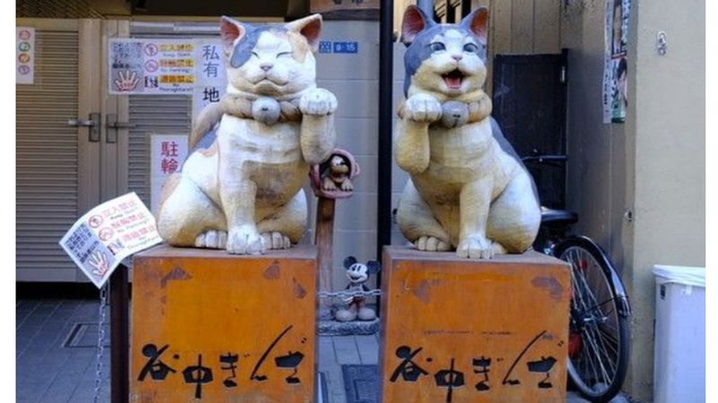 Tokyo Private Tour - Yanaka Ginza